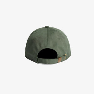 Cypress - Back