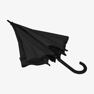 Auto Open Colorized Fashion Umbrella in Black Semi Fold - SB1009