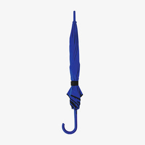 Auto Open Colorized Fashion Umbrella in Royal Blue Stand Fold - SB1009