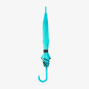 Auto Open Colorized Fashion Umbrella in Mint Green Stand Fold - SB1009