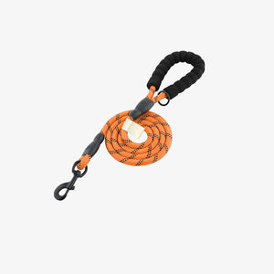 Orange - Front