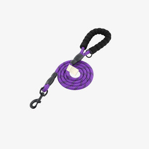 Purple - Front