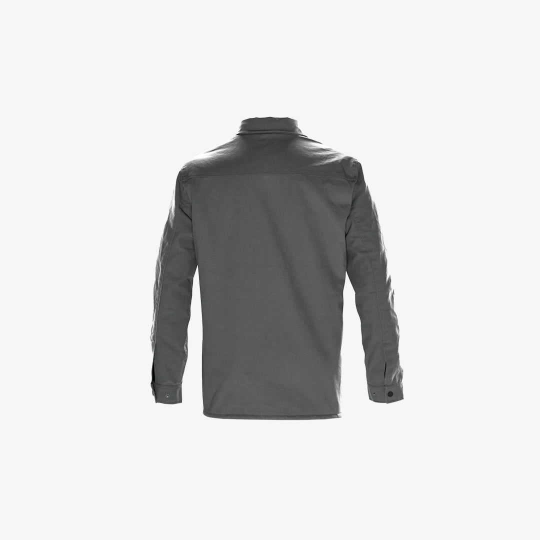 Dolphin - Back