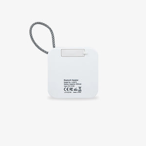 White - Back