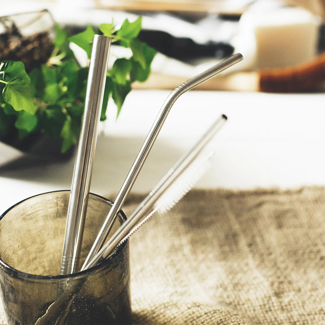 Lifestyle Photo of Trends Stainless Steel Straw Set in Natural - 116751